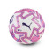 Pallone Puma Orbita Match Premier League 2025-2026 Fifa Quality