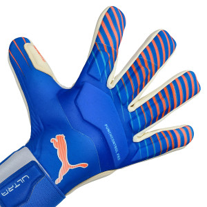 DORSO-2