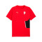 Maglietta Puma Ac Milan Fanswear 2025-2026