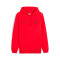 Felpa Puma Ac Milan Fanswear 2025-2026