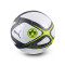 Pallone Puma BVB Borussia 2025-2026