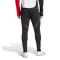 Pantaloni  adidas Ajax Training 2025-2026