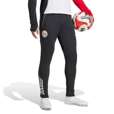 Pantaloni  Ajax Training 2025-2026