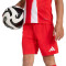 Completo adidas FC Bayern Home Kit 2025-2026 da Bambino