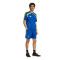 Maglietta adidas Juventus Fanswear 2025-2026