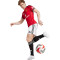 Pantaloncini adidas Manchester United Home 2025-2026
