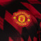 Maglia adidas Manchester United Pre-Match 2025-2026