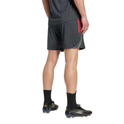 Pantaloncini Olympique Lione Training 2025-2026