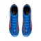 Scarpe Puma Ultra 6 Match FG/AG