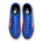 Scarpe Puma Ultra 6 Pro FG/AG