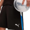 Pantaloncini Puma Individualliga Training Shorts 2 (Open Pockets)