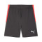Pantaloncini Puma Individualliga Training Shorts 2 (Open pockets)