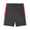 Pantaloncini Puma Individualliga Training Shorts 2 (Open pockets)