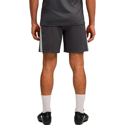Pantaloncini Individualliga Training Shorts 2 (Open pockets)