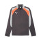Felpa Puma Individualliga 1/4 Zip Top