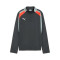 Felpa Puma Individualliga 1/4 Zip Top Niño