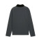 Felpa Puma Individualliga 1/4 Zip Top Niño