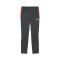 Pantaloni  Puma Individualliga Training