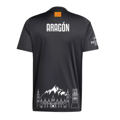Maglia Real Federación Aragonesa de Fútbol Primera Equipación Portero 2024-2025