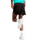 Pantaloncini Puma Run Velocity 3"