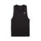 Top Puma Run Velocity