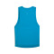 Top Puma Run Velocity