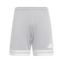 Squadra 25 II-Team Light Grey-White
