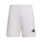 Pantaloncini adidas Squadra 25 II