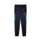 Pantaloni  Puma Sport