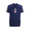 Maglietta adidas Olympique Lione Fanswear 2025-2026