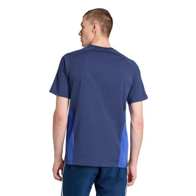 Maglietta Olympique Lione Fanswear 2025-2026