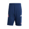 Bermuda adidas Arsenal FC Fanswear 2025-2026