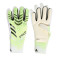 Guanti adidas Predator Pro