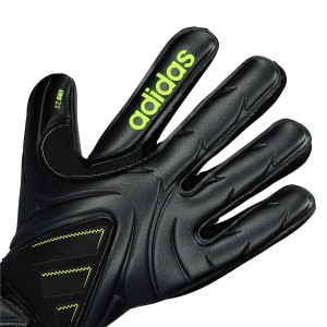 DORSO-2