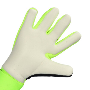 PALMO-1