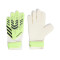 Guanti adidas Predator Training