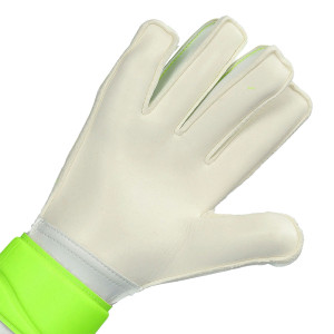 PALMO-1