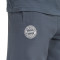 Pantaloncini adidas FC Bayern Fanswear 2025-2026