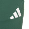 Pantaloni  adidas Real Zaragoza Entreno Portero 25-26 Niño