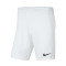 Pantaloncini Nike Park III Knit Bambino Divisa Speciale FC MIlanese 1902