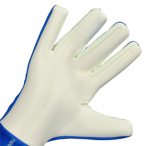 PALMO-1