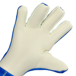 PALMO-1