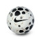 Pallone Nike Academy 2025-2026