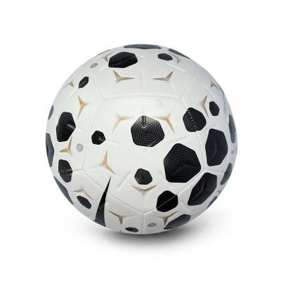 Pallone Academy 2025-2026