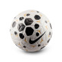 Academy Plus 20225-2026-White-Black