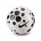 Pallone Nike Control 2025-2026