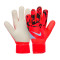 Guanti Nike Match