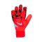 Guanti Nike Match