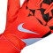 Guanti Nike Match