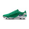 Scarpe Nike Tiempo Legend 10 Academy FG